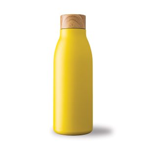 20 OZ STAINLESS STEEL BOTTLE